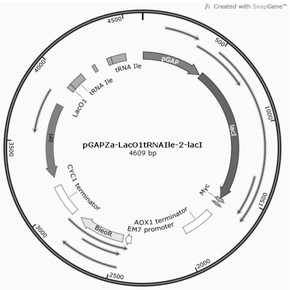 IPTG-induced tRNA element in pichia pastoris as well as construction method and application thereof