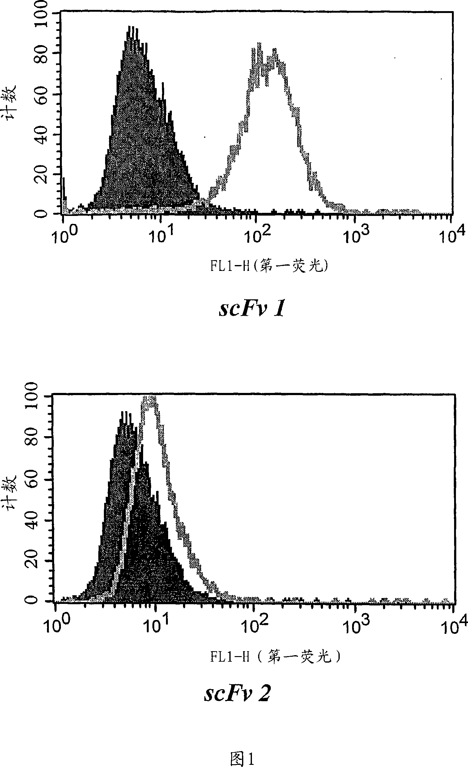 Antibody library screening method