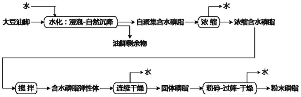 A kind of preparation method of powder phospholipid