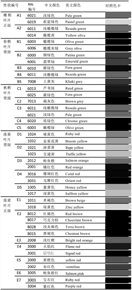 Leaf color-based eriobotrya plant classification method