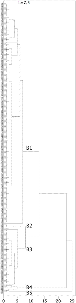 Leaf color-based eriobotrya plant classification method