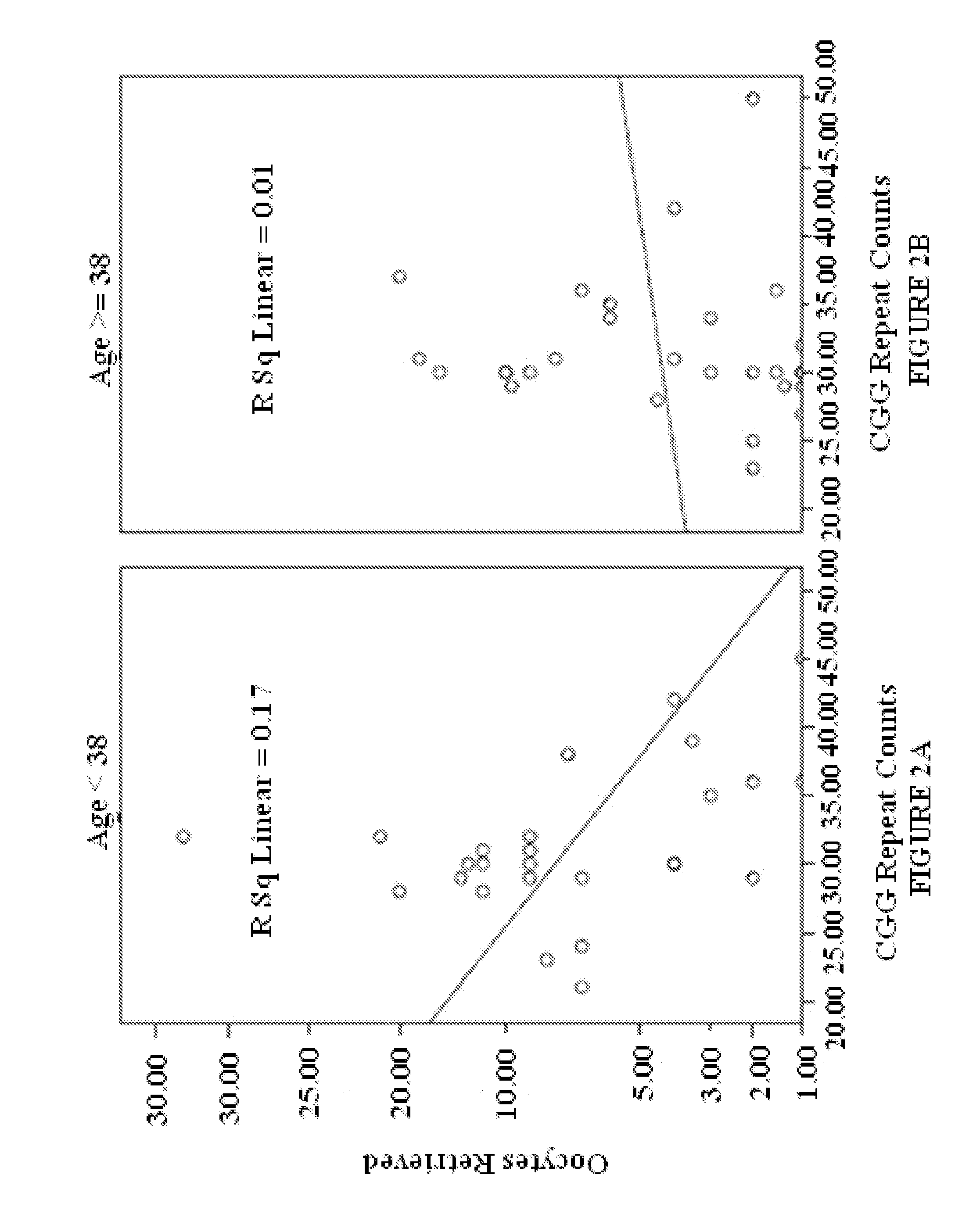 Analyzing the FMR1 Gene