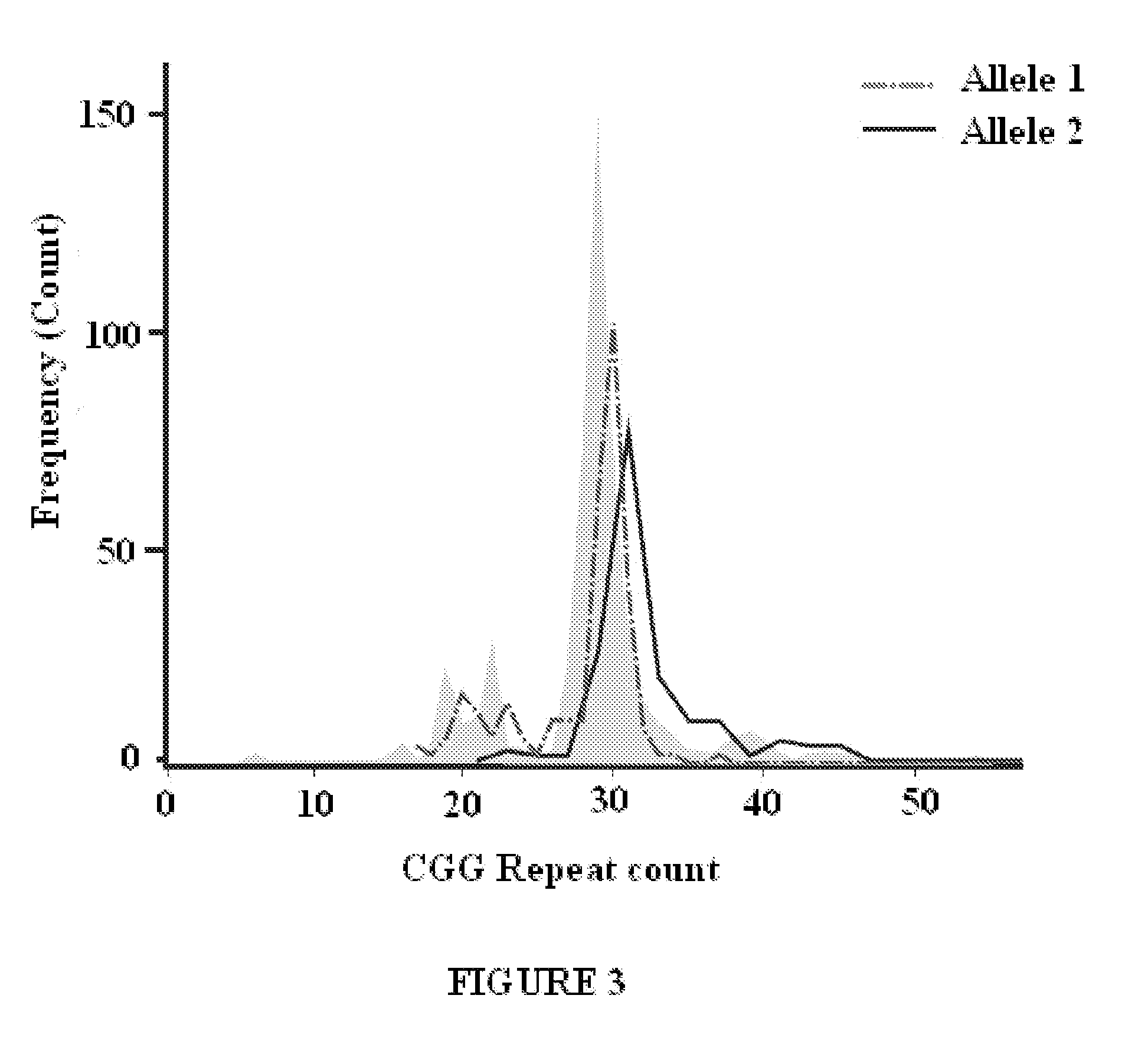 Analyzing the FMR1 Gene