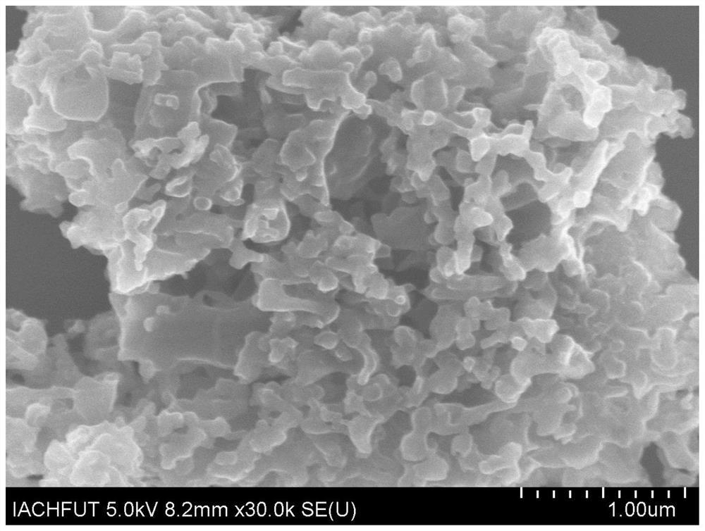 Preparation method of biomass-derived porous carbon confinement monatomic metal composite material
