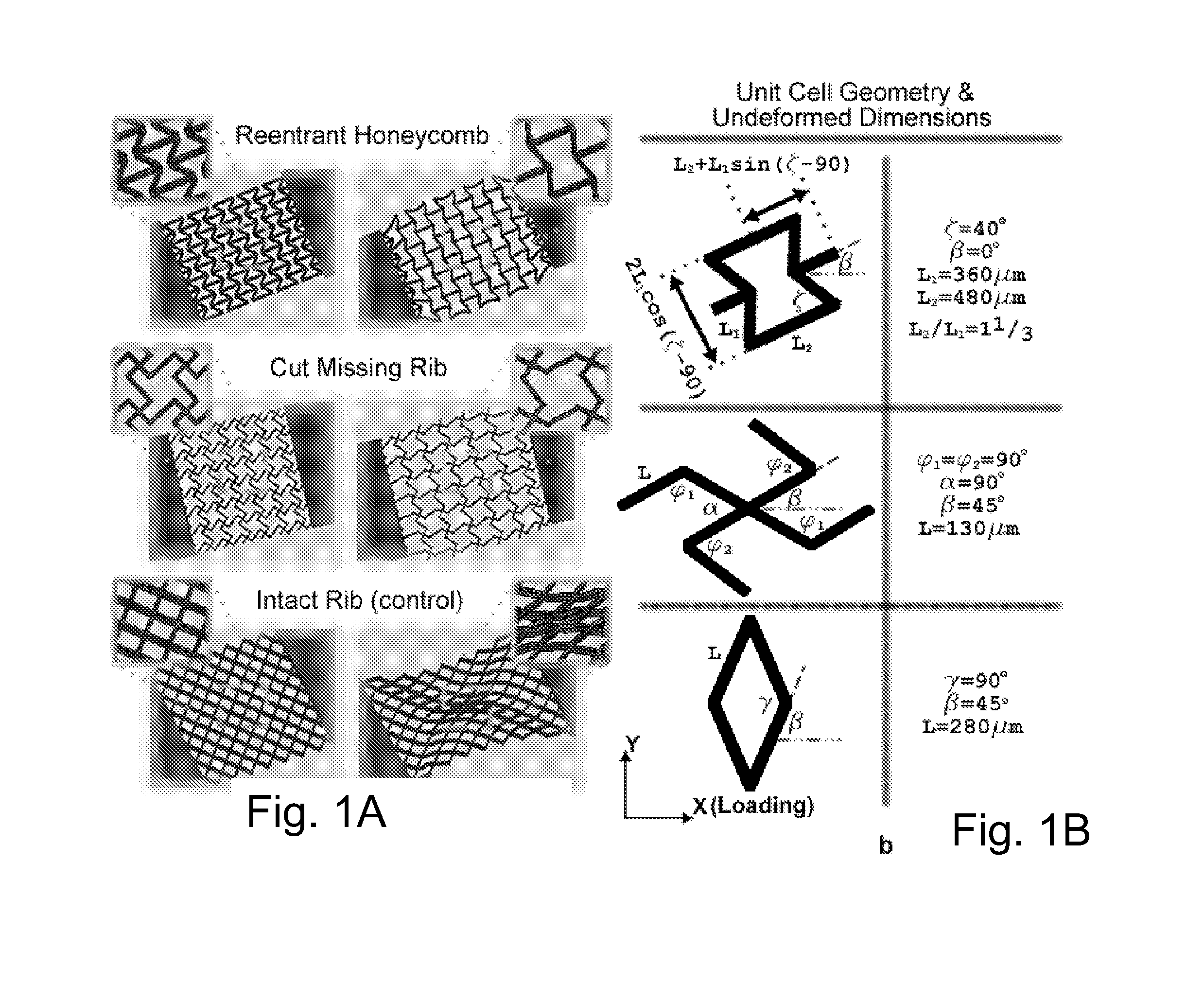Micro-structured biomaterials and fabrication methods therefor