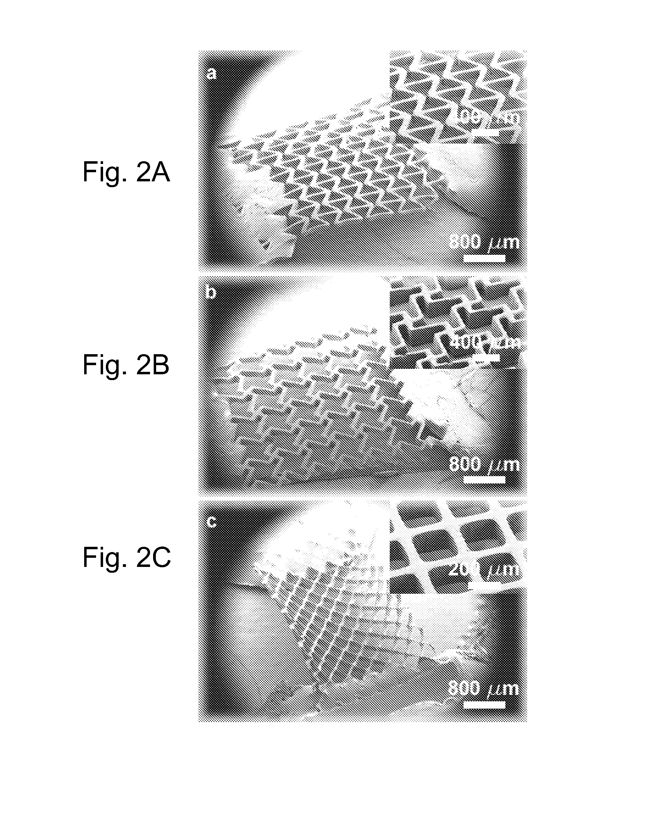 Micro-structured biomaterials and fabrication methods therefor