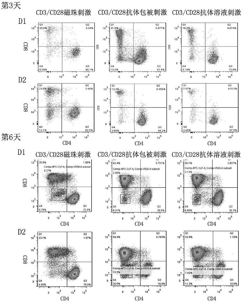 Method for in-vitro culture and enrichment of CD8+ T cells