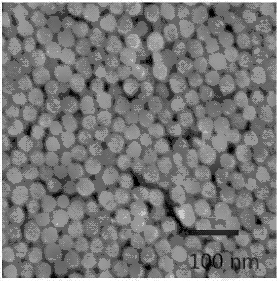 Copper sulphide@mesoporous silica nanocomposite and preparation method and application thereof