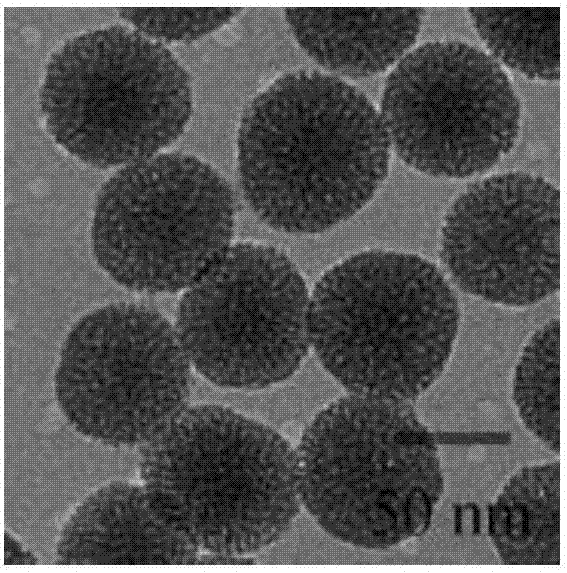 Copper sulphide@mesoporous silica nanocomposite and preparation method and application thereof