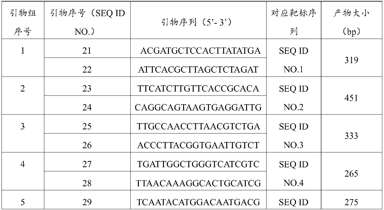 Novel specific molecular target for vibrio parahaemolyticus and rapid detection method thereof