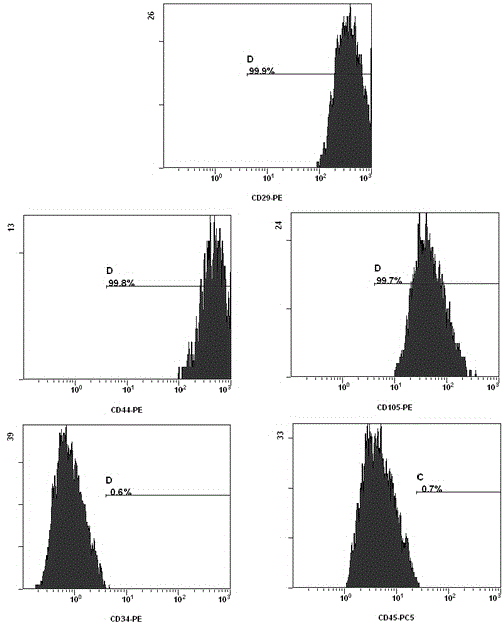 Method for efficiently separating umbilical cord mesenchymal stem cells