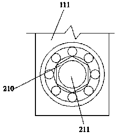 Garden plant irrigation device