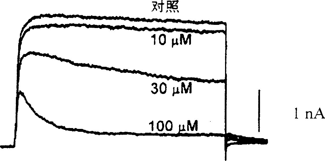 Pharmaceutical compositions comprising chelidonine or derivatives thereof