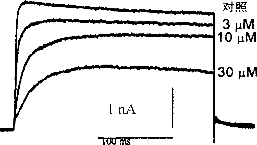 Pharmaceutical compositions comprising chelidonine or derivatives thereof