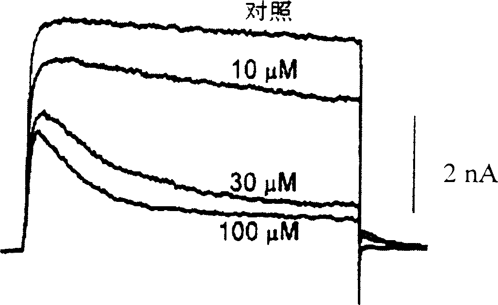 Pharmaceutical compositions comprising chelidonine or derivatives thereof