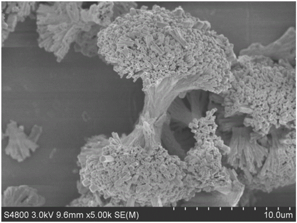 Flower-like structure Sb2S3 material for sodium ion battery anode and preparation method of flower-like structure Sb2S3 material