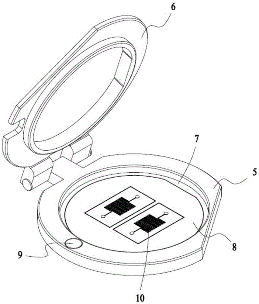 Injection molding system for soft chip and method for manufacturing soft chip