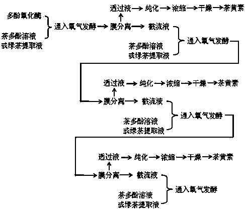 Method for preparing theaflavin by recycling polyphenol oxidase