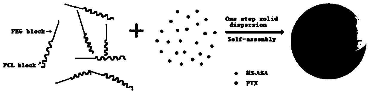 Nano-preparation and preparation method of an anticancer drug composition and its application in the treatment of malignant tumors