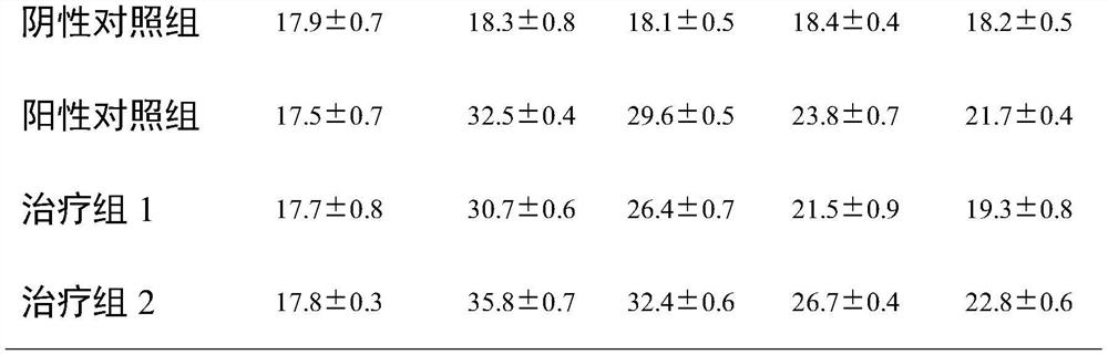 Cannabidiol nano analgesic patch taking bacterial cellulose-magnetic graphene oxide as base material and preparation method of cannabidiol nano analgesic patch