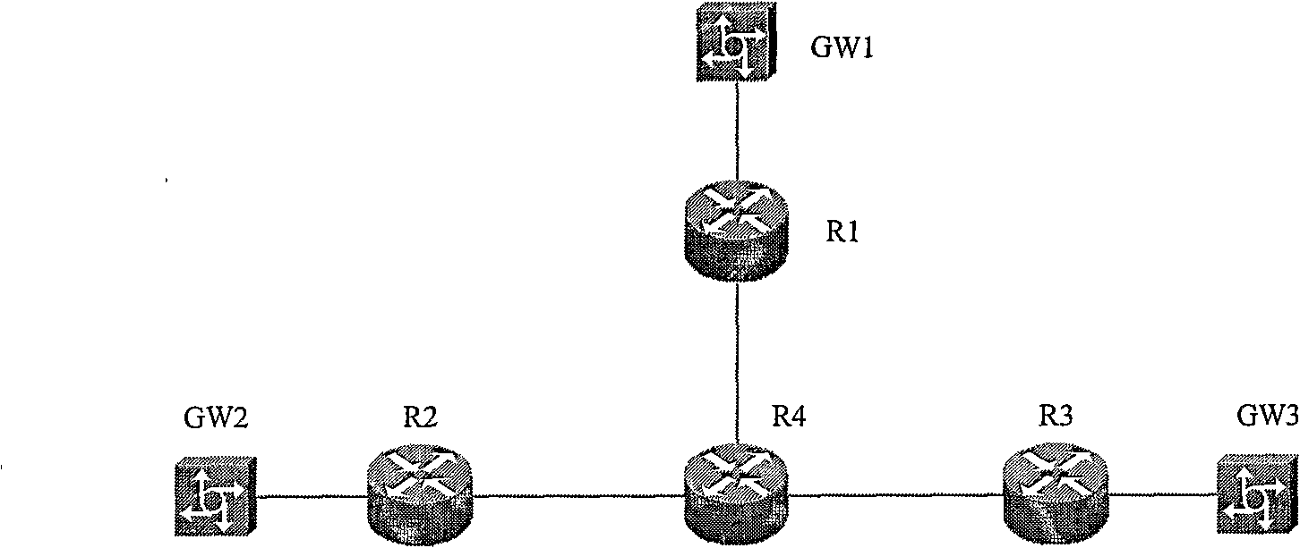Multi business IP bearing system with service quality assurance and implementing method thereof