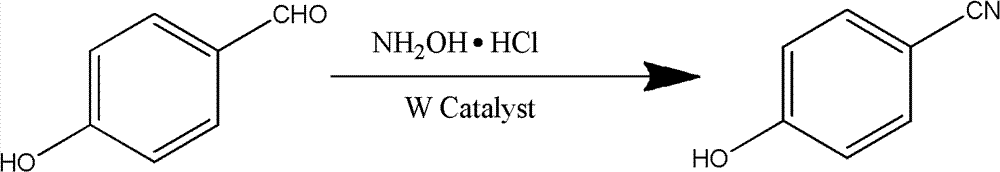 Synthetic method of p-hydroxybenzonitrile