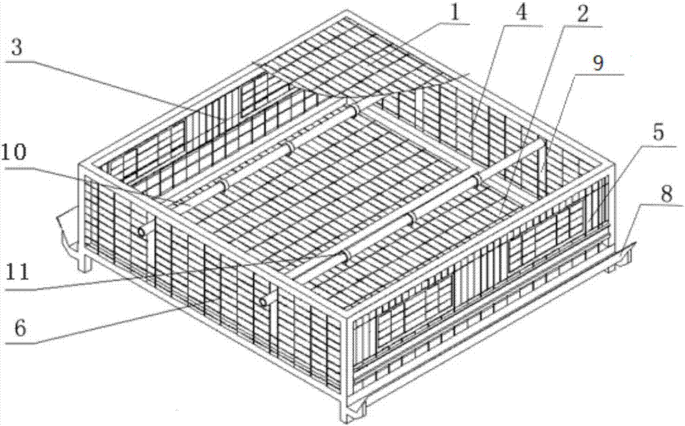 Cage applicable to brooding growing period breeding of laying hen parent generation reserve cock and breeding process of cage