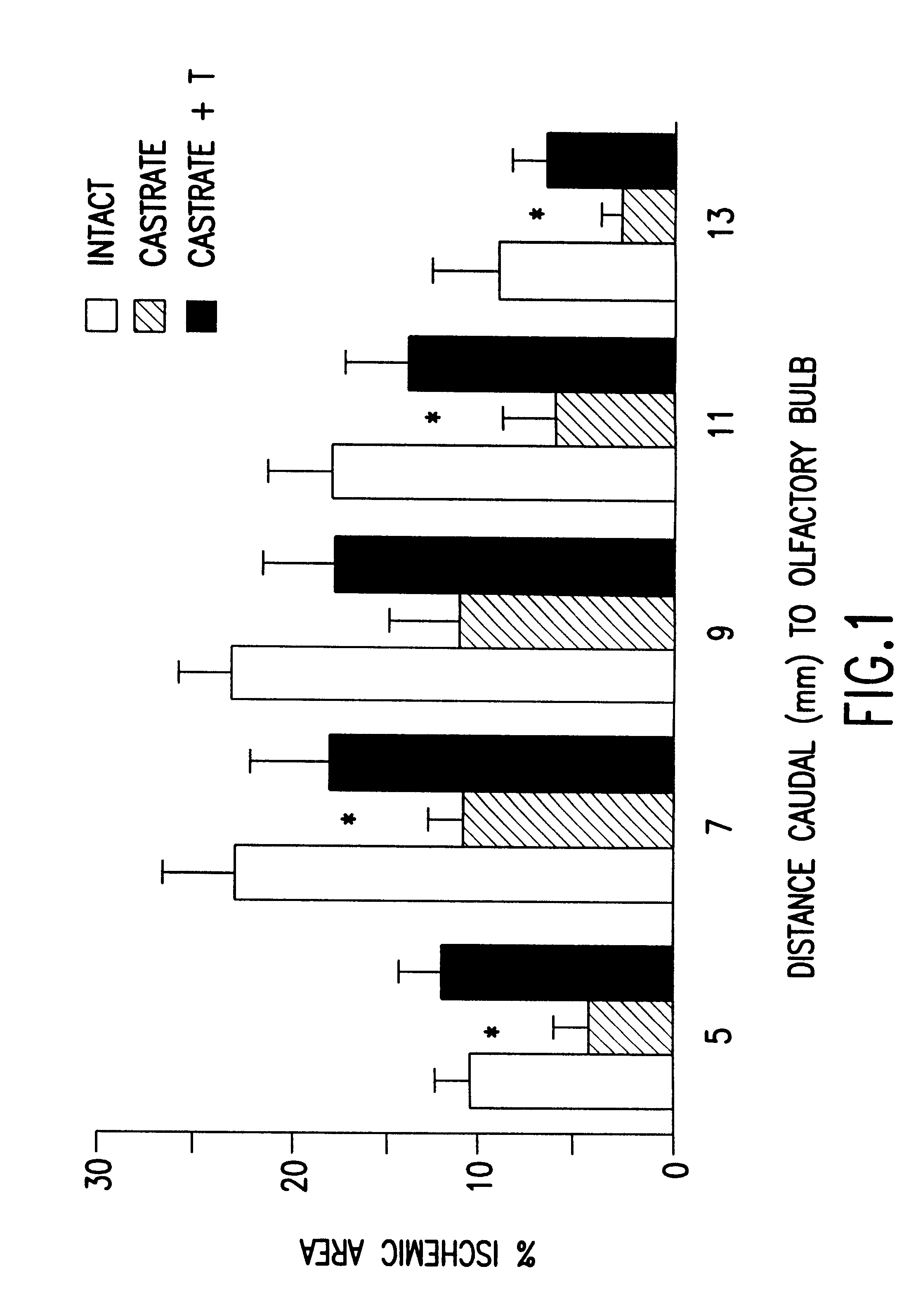 Testosterone compounds and use for the protection of neurons