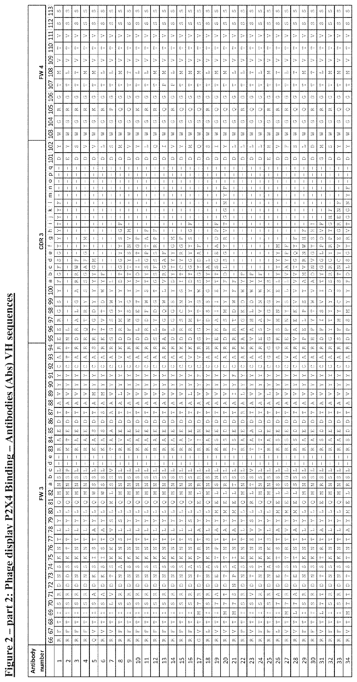 P2x4 antibodies & uses thereof