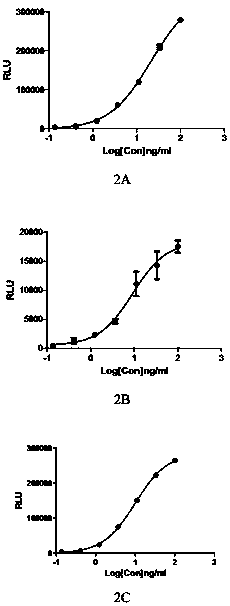 Method for determining biological activity of human IL-36/IL36R/IL1RAcP pathway inhibitor