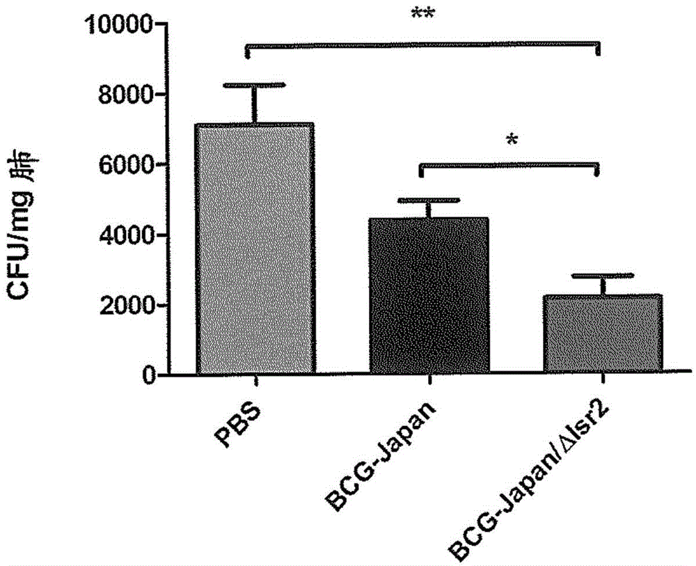 Modified bcg strains with reduced or eliminated activity of lsr2 and pharmaceutical composition comprising same