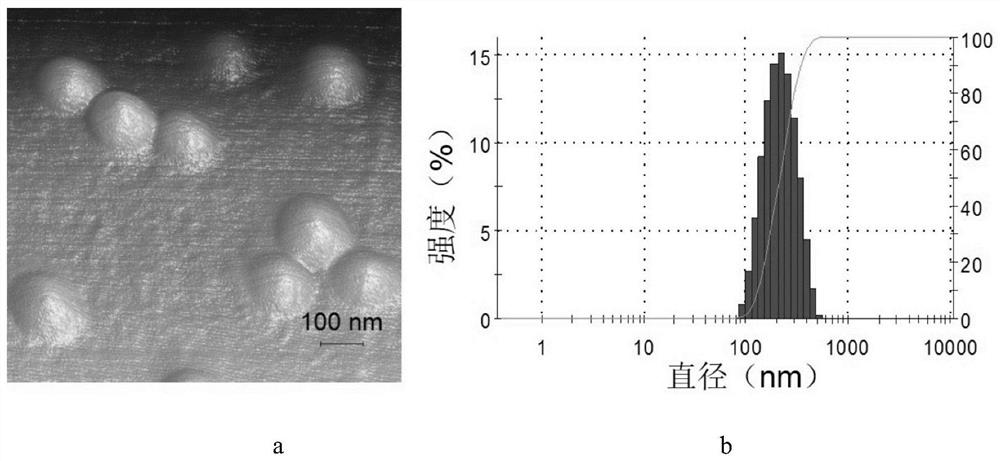 Preparation method of targeted reduction-sensitive nano-delivery system co-loaded with chemotherapeutic drugs and p-gp drug resistance reversal agent