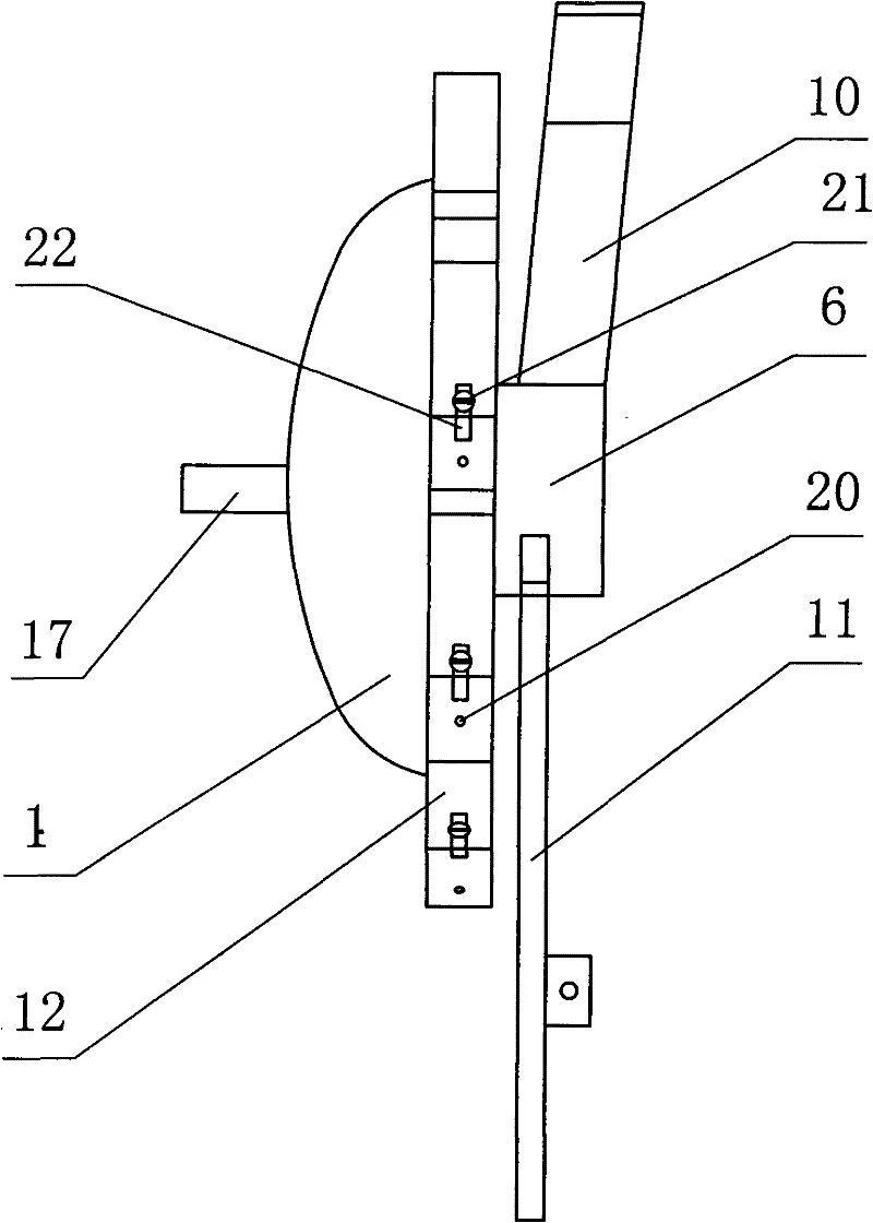 Particle separate device