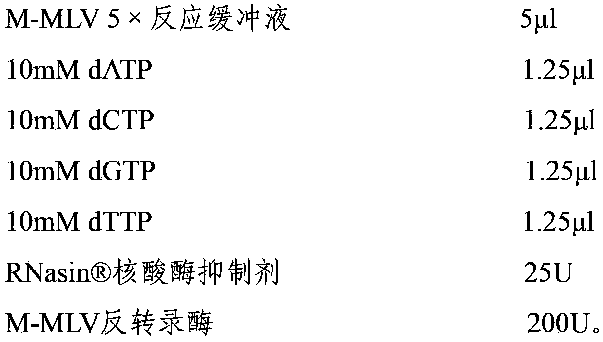 Porcine anti-porcine reproductive and respiratory syndrome related SNP label in leukocyte differentiation antigen CD34 gene and application thereof