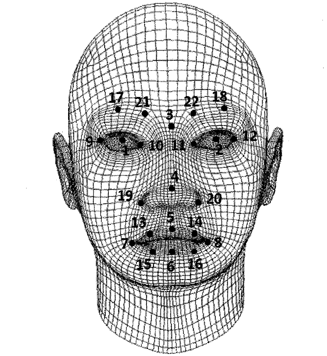 Method for automatically constructing three-dimensional face muscle model