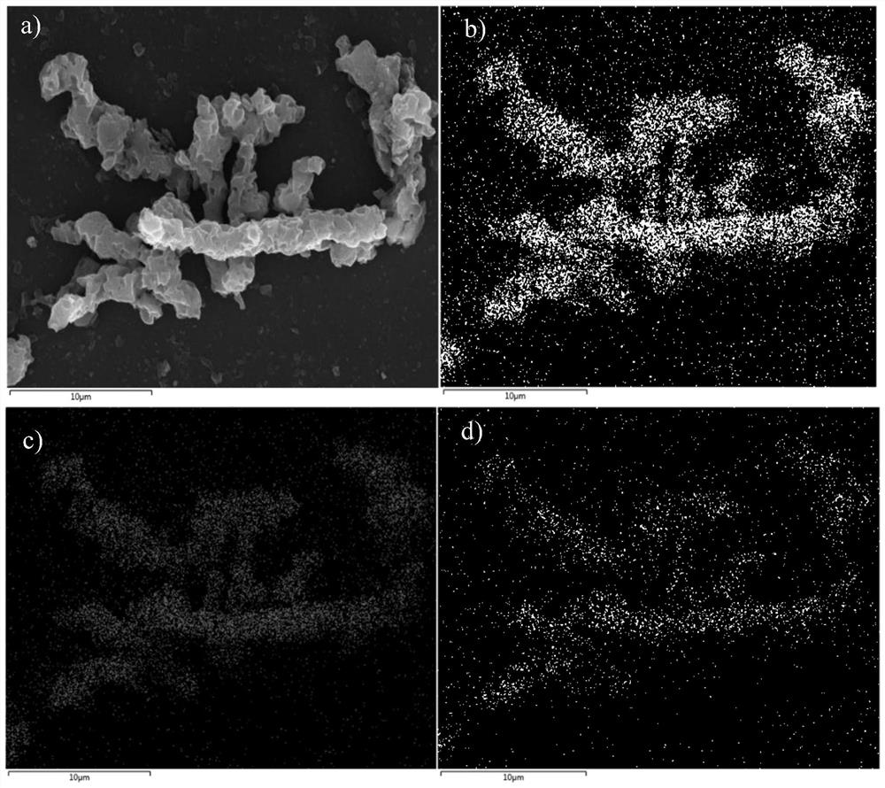 cnss-ni@pt/pm-g-c  <sub>3</sub> no  <sub>4</sub> Electrocatalyst and its preparation method