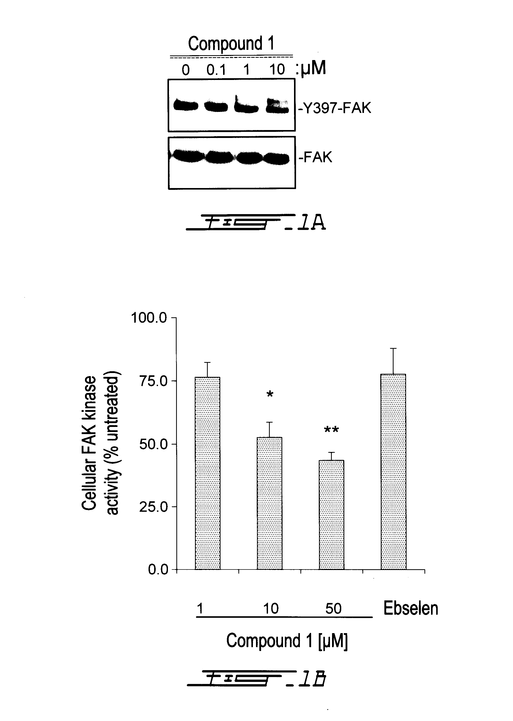 Compounds Targeting the Cell Invasion Protein Complex, Their Pharmaceutical Compositions and Methods of Use Thereof