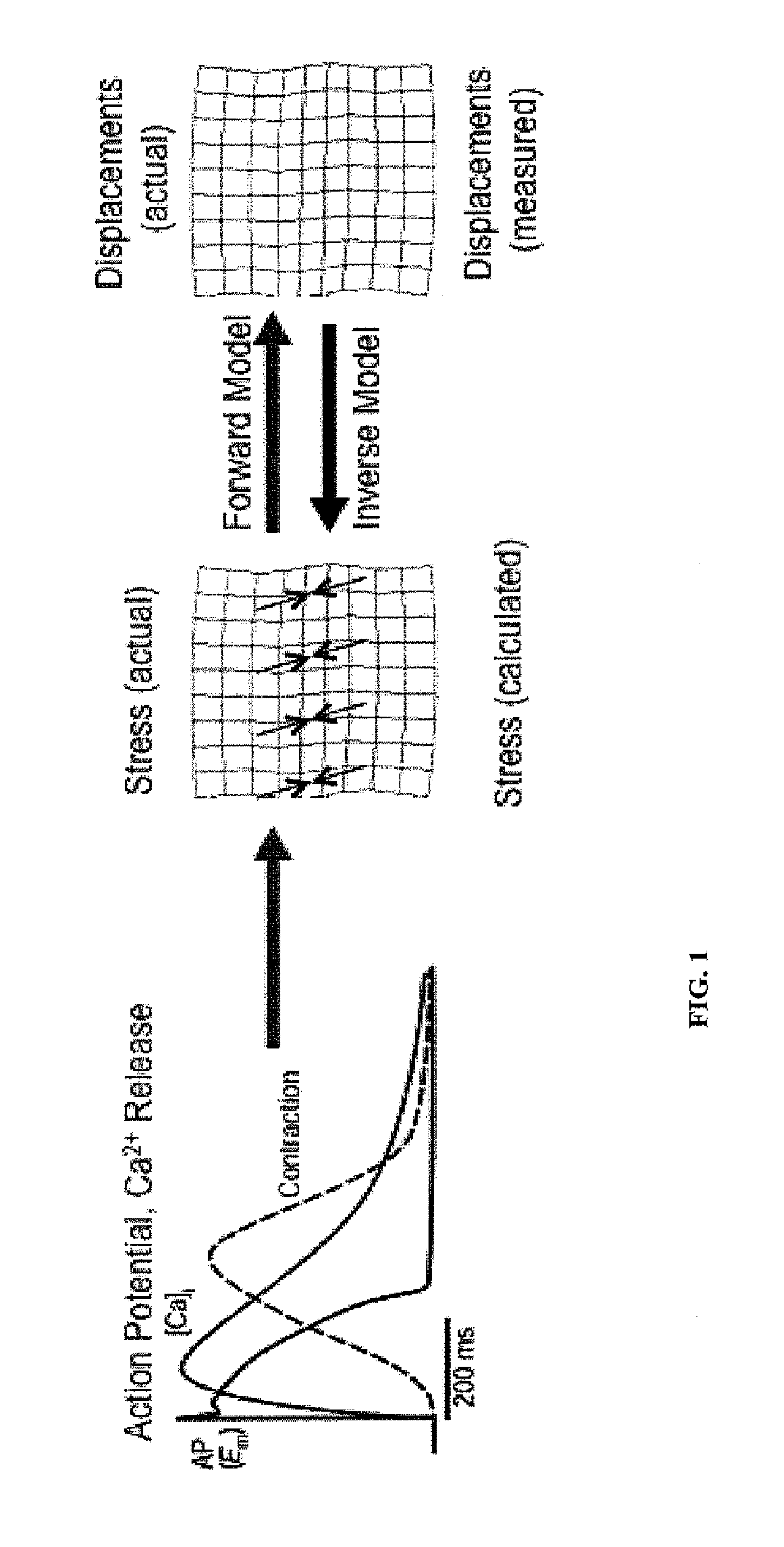Methods and systems for functional imaging of cardiac tissue