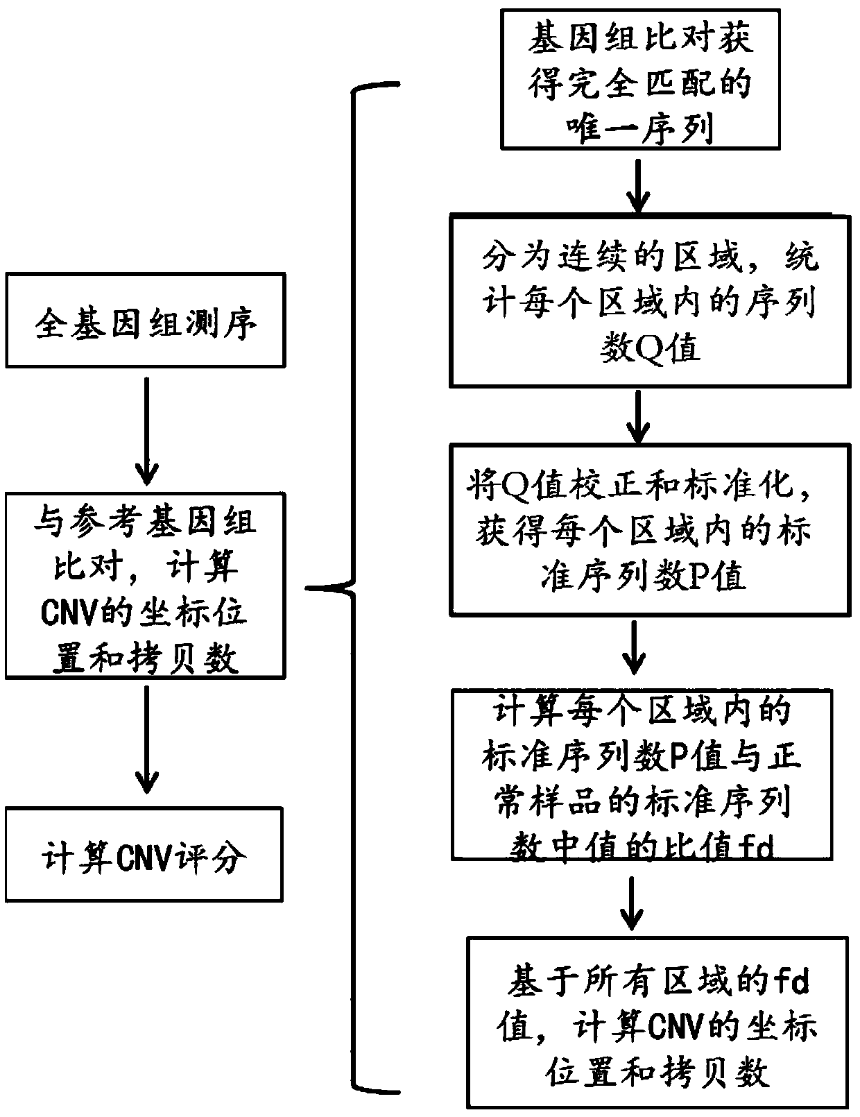 Detection method of whole genome copy number variation and application of the method