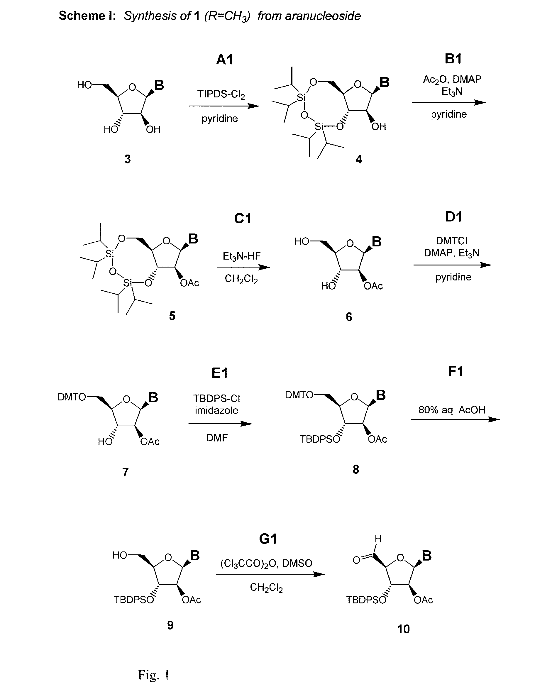 Polycyclic sugar surrogate-containing oligomeric compounds and compositions for use in gene modulation