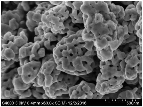 Photocatalyst material and preparation method and application thereof