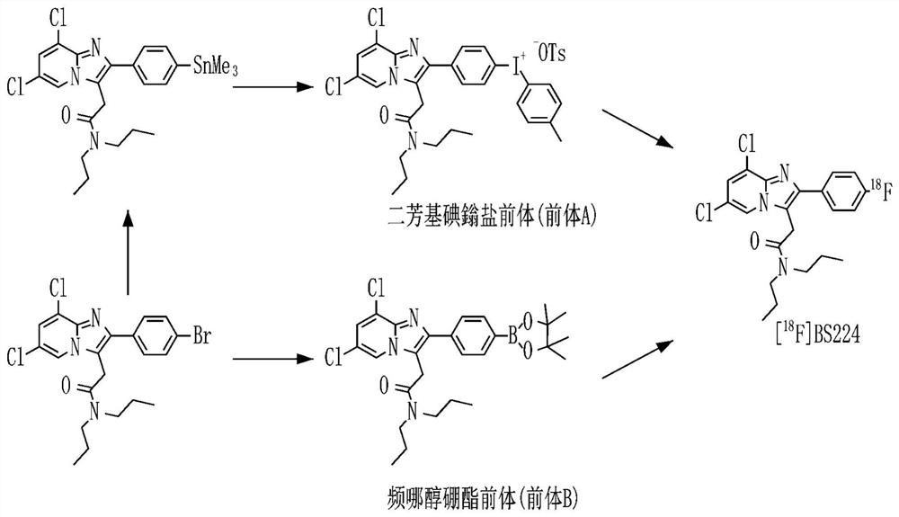 Positron emission tomography radiotracer for diseases associated with translocator protein overexpression, translocator protein-targeting ligand for fluorescence imaging diagnosis and photodynamic therapy, and preparation method therefor