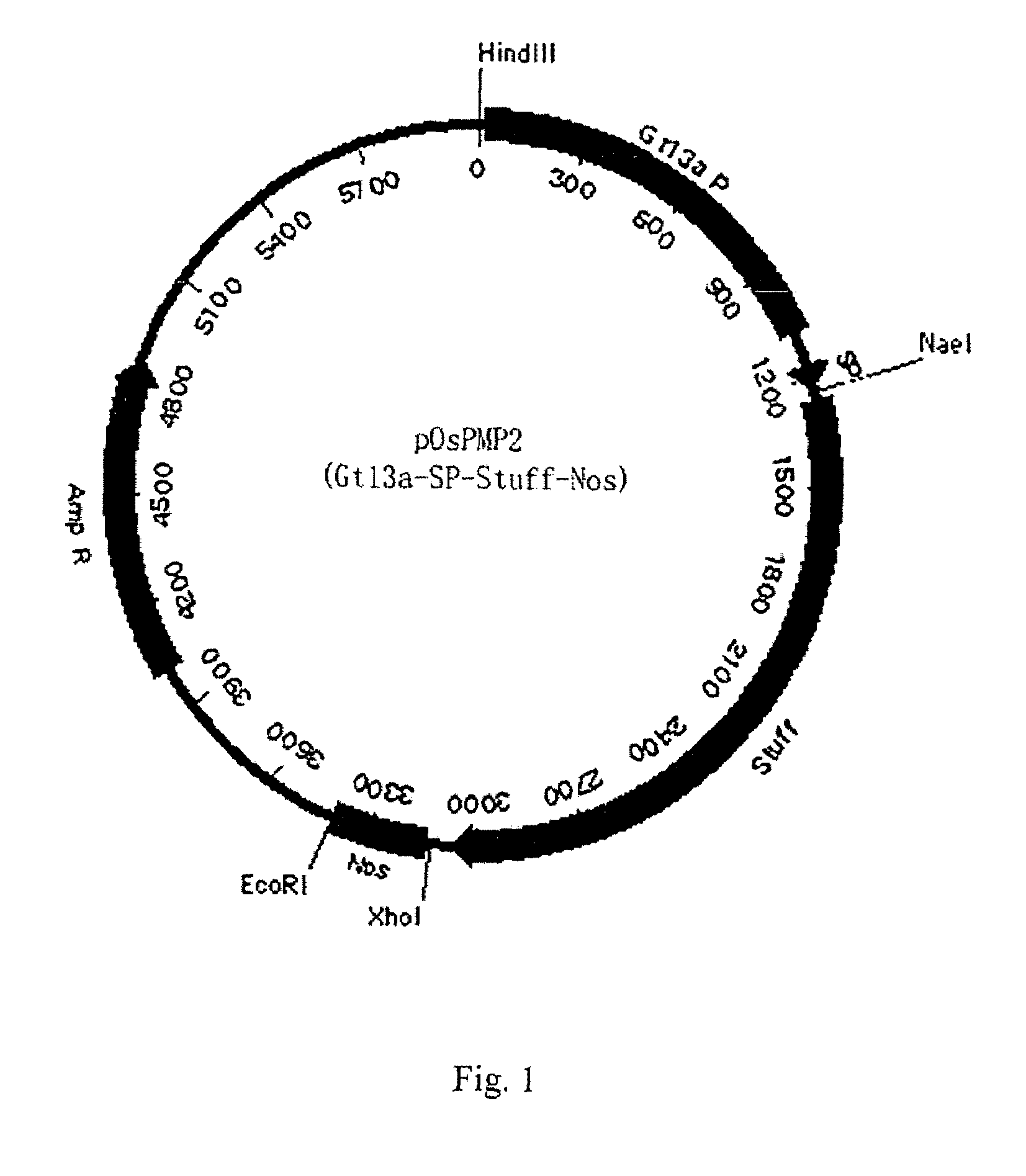 Method of expressing small peptides using cereal non-storage proteins as fusion carrier in endosperm and the use thereof