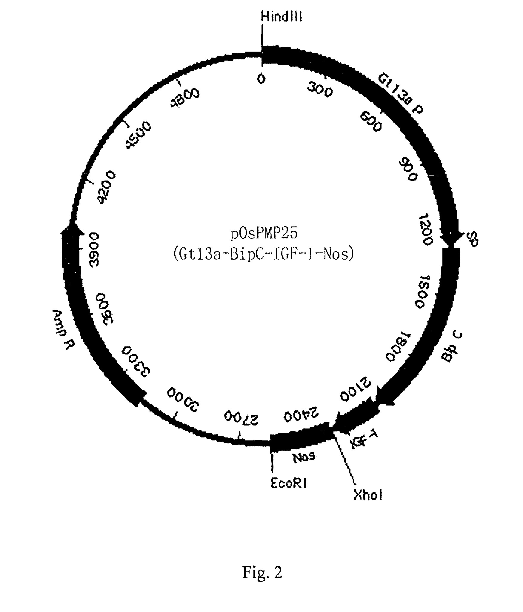 Method of expressing small peptides using cereal non-storage proteins as fusion carrier in endosperm and the use thereof