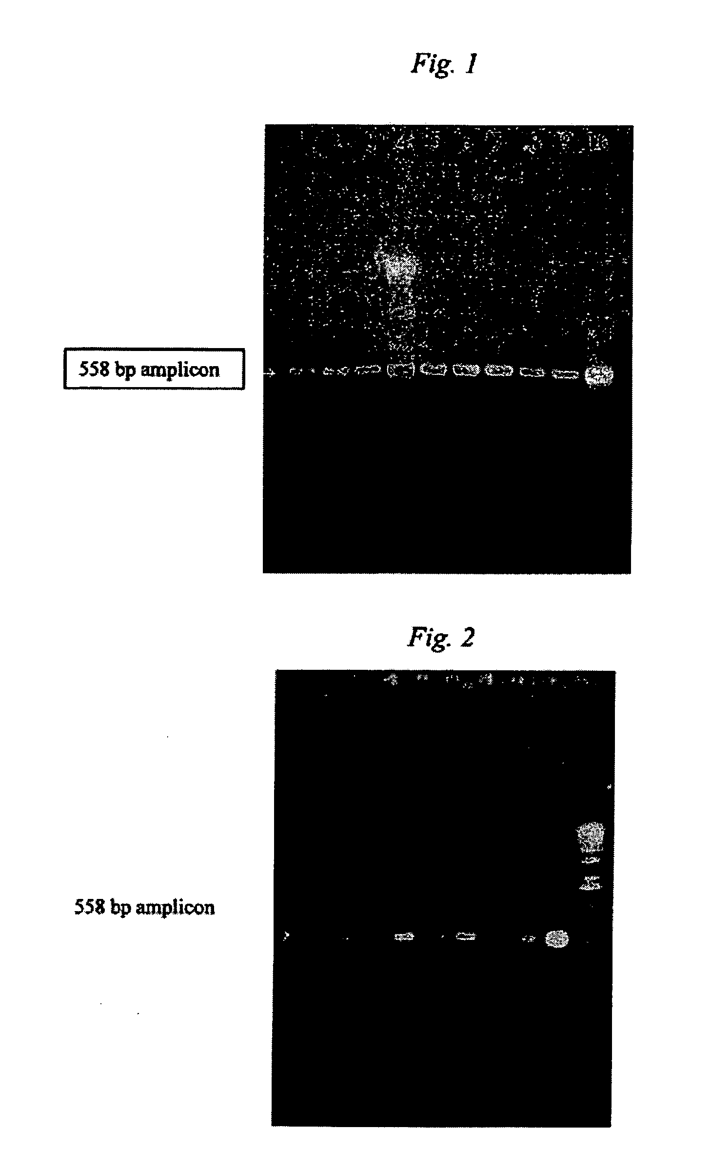 Nanoparticles for manipulation of biopolymers and methods of thereof