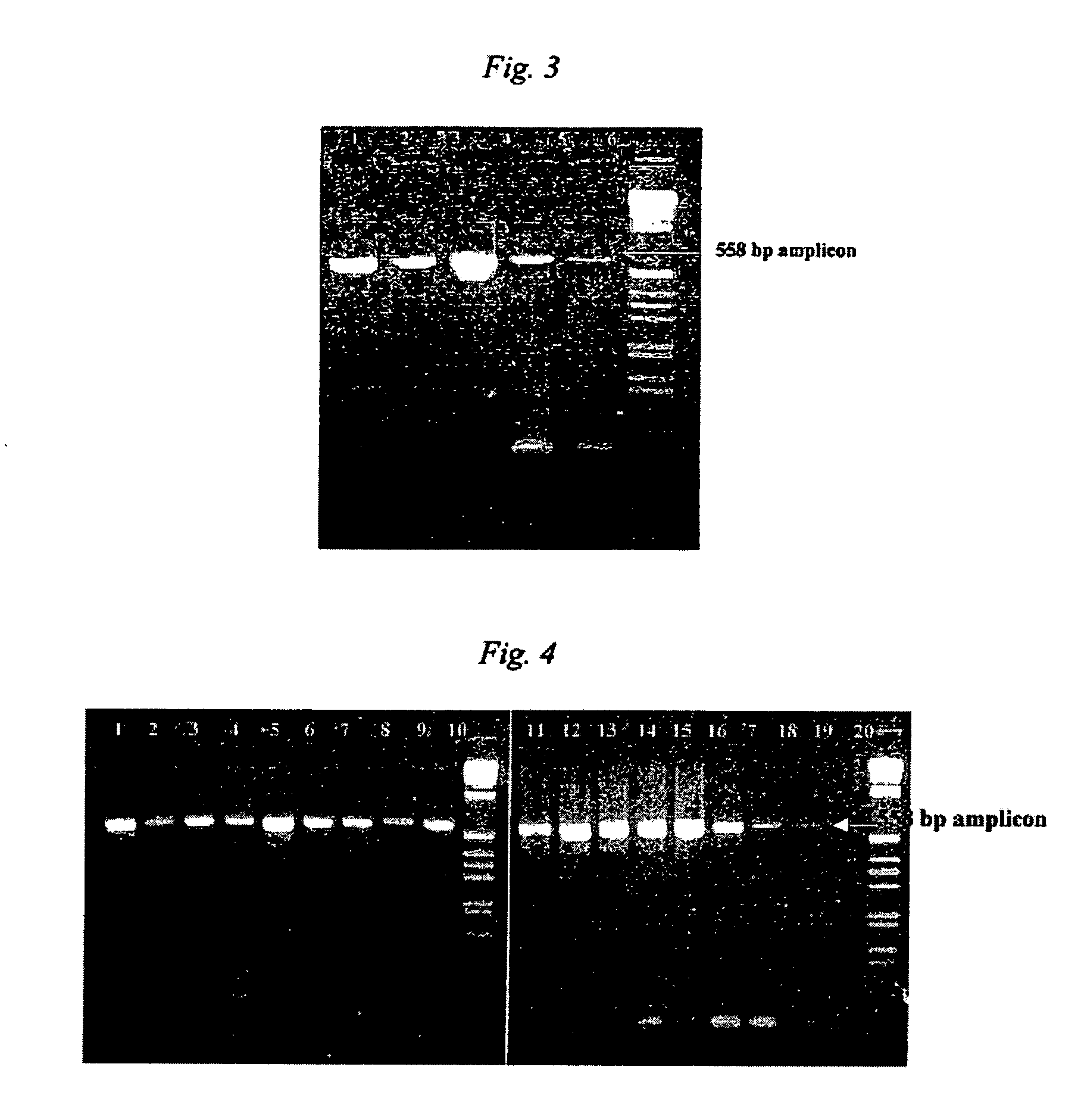 Nanoparticles for manipulation of biopolymers and methods of thereof