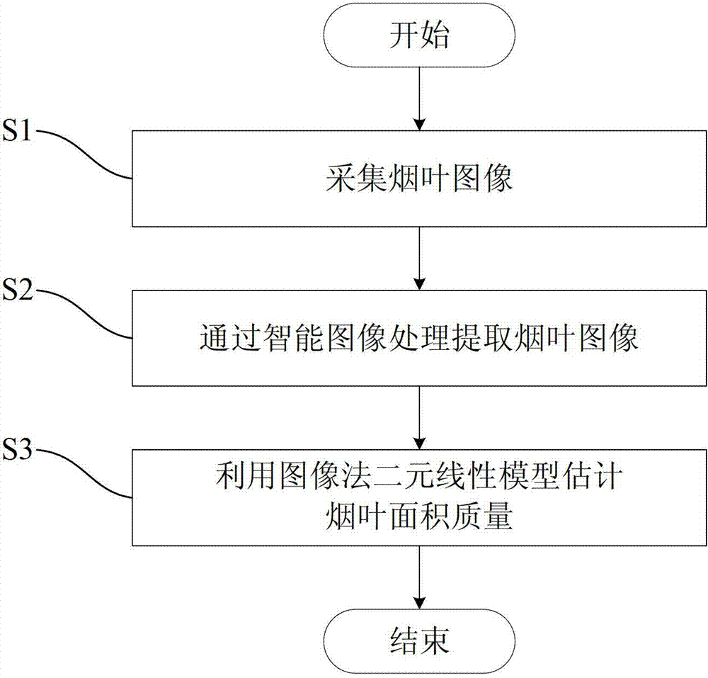 Method for determining area quality of tobacco leaves based on intelligent image processing and model estimation