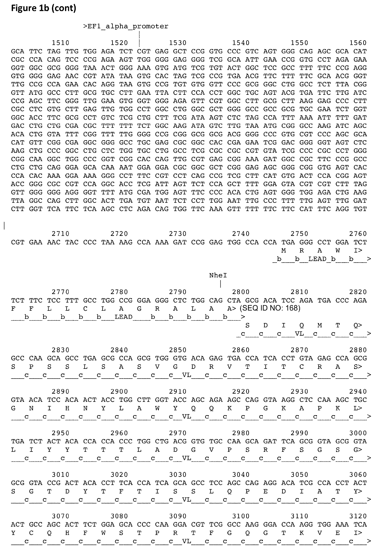 Selecting for developability of polypeptide drugs in eukaryotic cell display systems