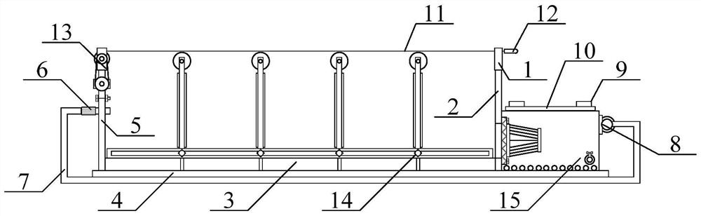 A bullfrog farm with improved circulating water