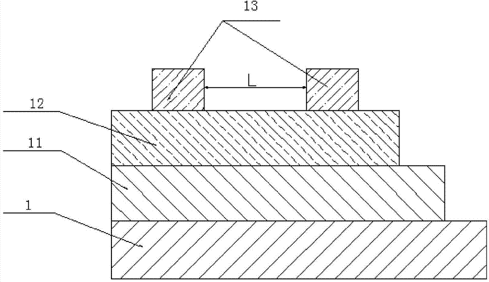 Device and method for carrying out in-situ observation on electric domain structure of ferroelectric material before and after electric field action